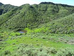 IMG_2278.jpg