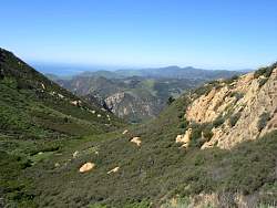 IMG_2281.jpg