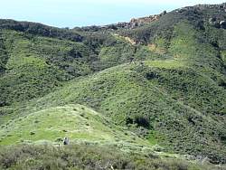 IMG_2287.jpg