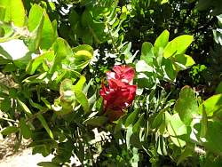 IMG_2290.jpg