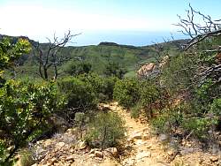 IMG_2292.jpg