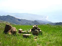 IMG_2305.jpg