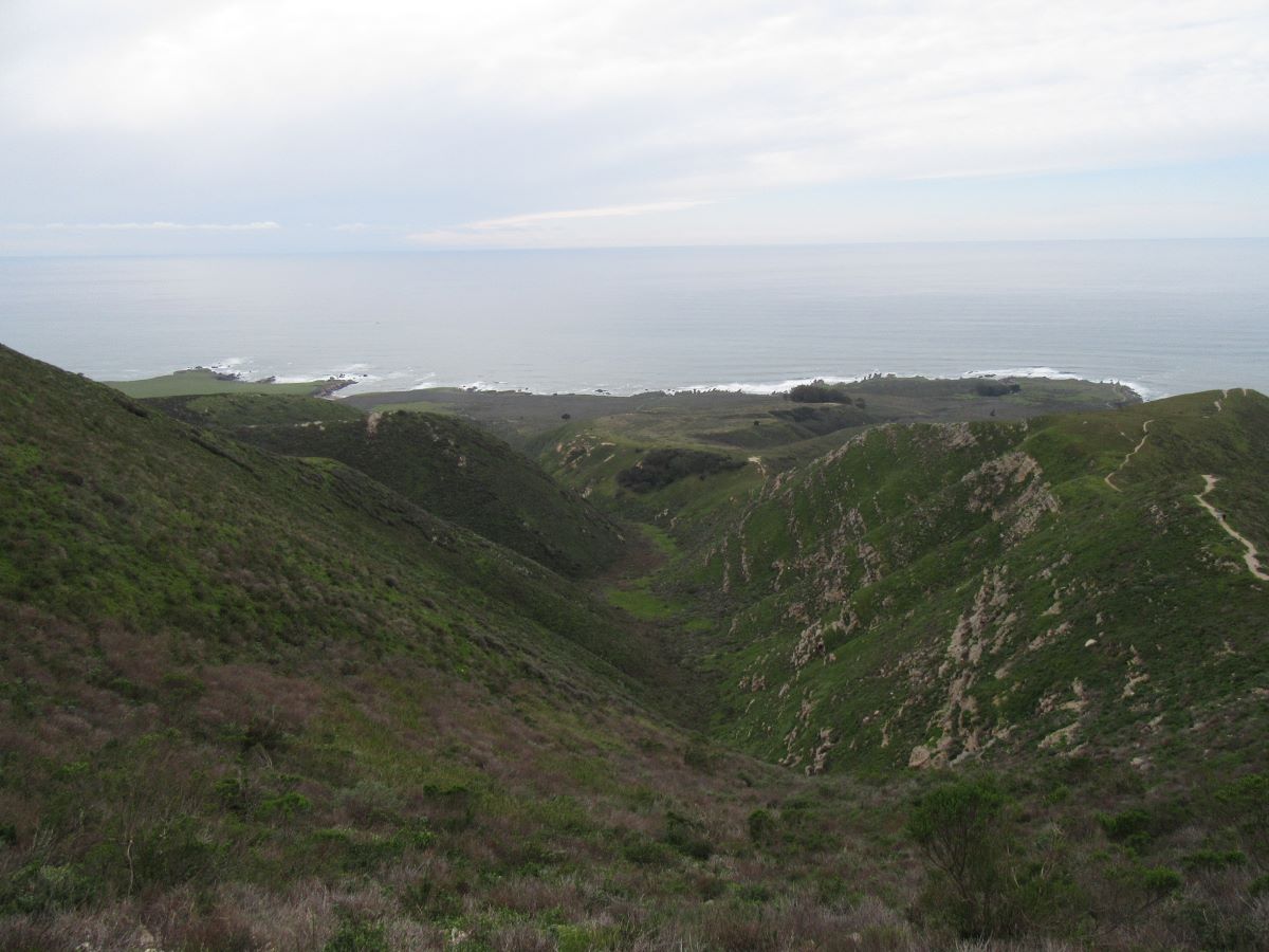 IMG_5934.jpg
