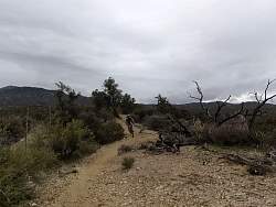 vlcsnap00007.jpg