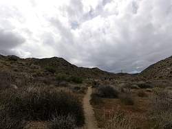 vlcsnap00049.jpg