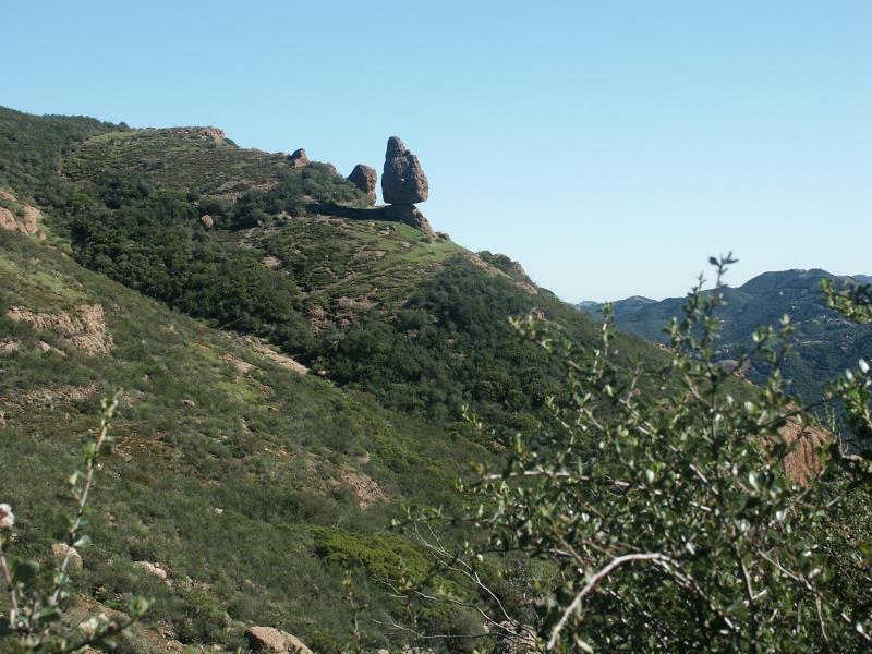 PICT2299.jpg