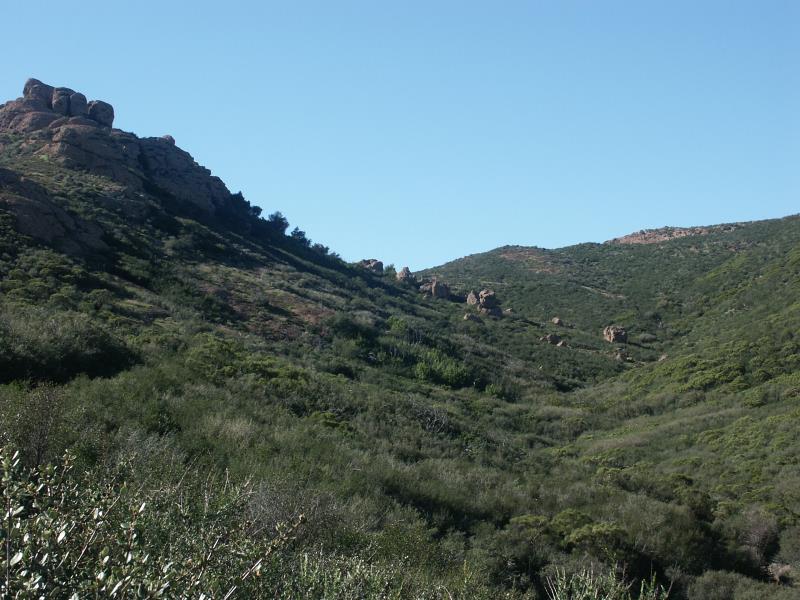 PICT2307.jpg
