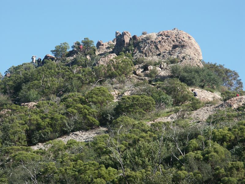 PICT2345.jpg