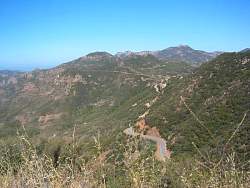 IMG_9447.jpg
