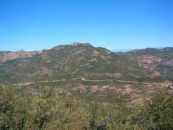 IMG_9457.jpg