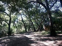 PICT2301.jpg