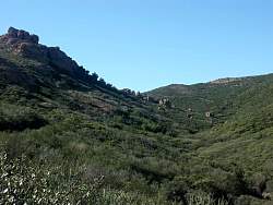 PICT2307.jpg