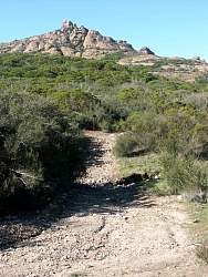 PICT2315.jpg