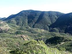 PICT2368.jpg