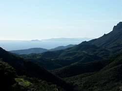 PICT2372.jpg