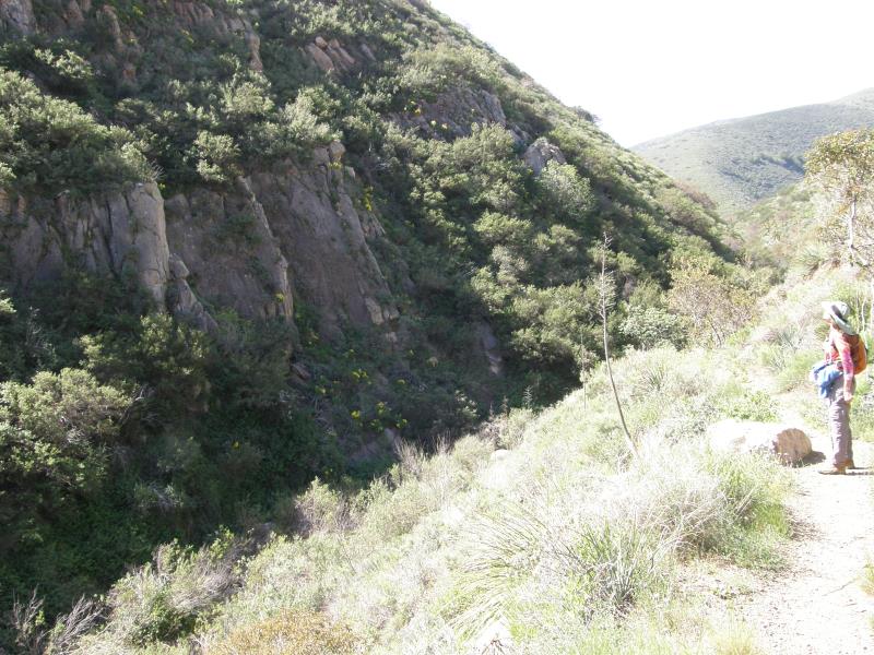 P3150141.jpg
