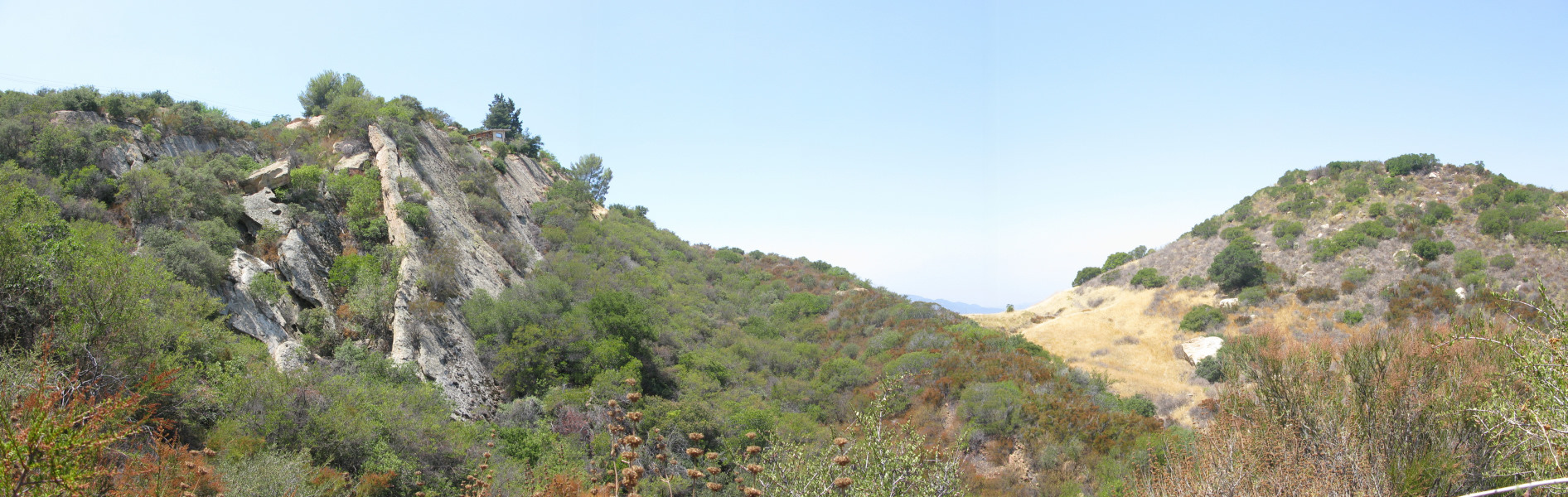 STA_0414pan.jpg