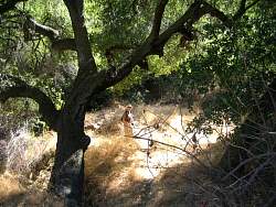 20081019ColdCreekHighTrail015.jpg