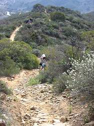 IMG_1415.jpg