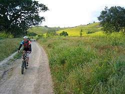 IMG_6140ADJ.jpg