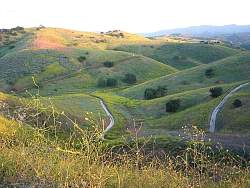 IMG_6144.jpg