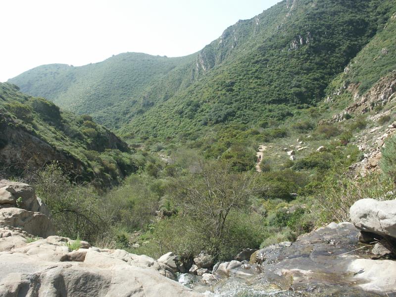 PICT2790.jpg