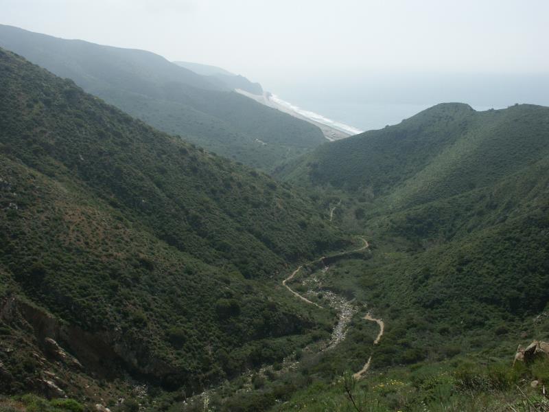 PICT2807.jpg