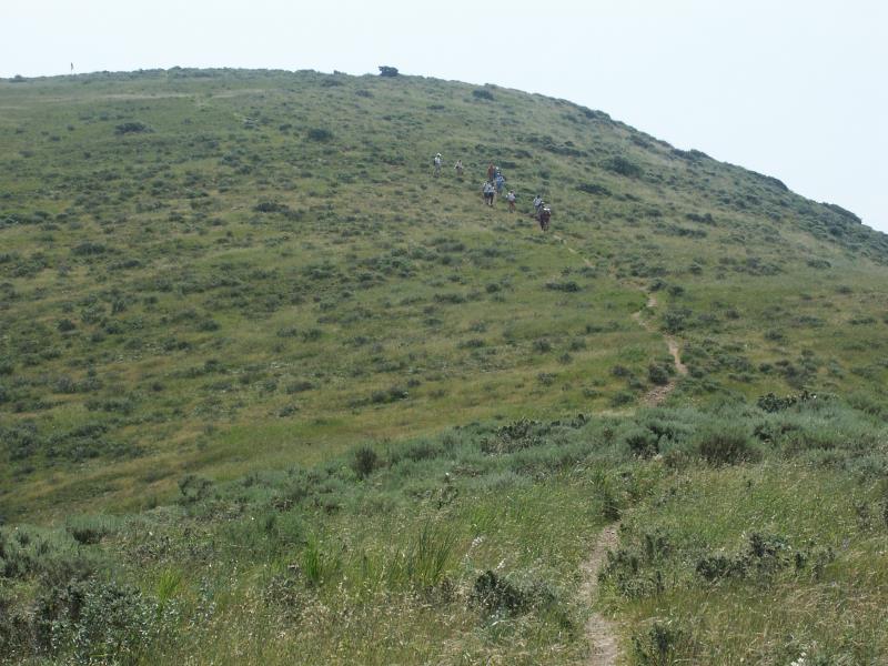 PICT2828.jpg