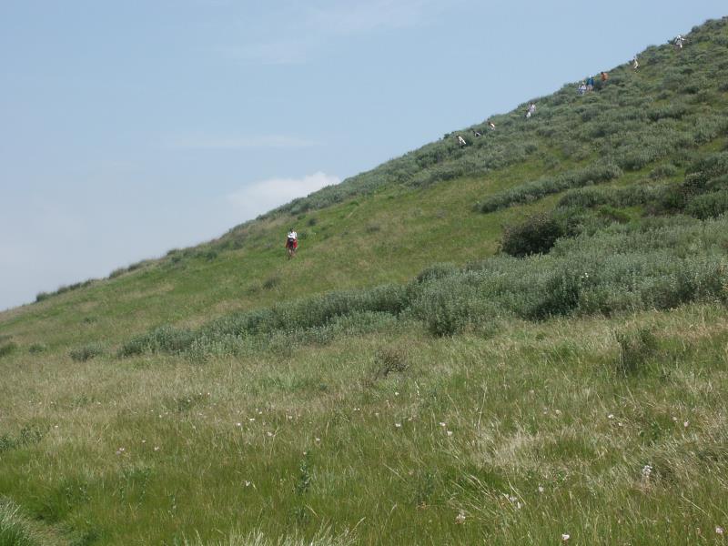 PICT2840.jpg