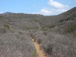 IMG_7067.jpg