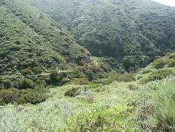 PICT2799.jpg