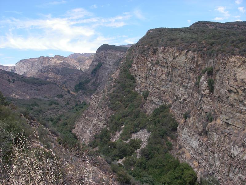 IMGP2749.jpg