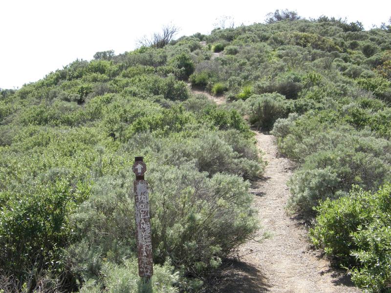 P3020288.jpg