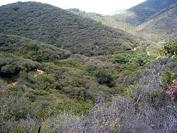 IMG_9377.jpg