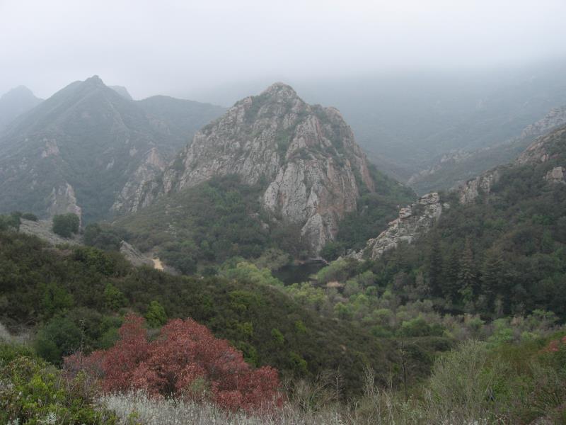 IMG_4633.jpg