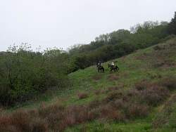 IMG_4621.jpg