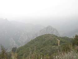 IMG_4627.jpg