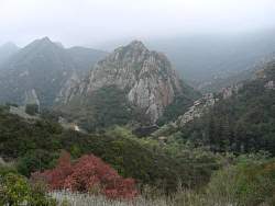 IMG_4633.jpg