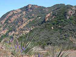 IMG_4811.jpg