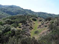 IMG_4825.jpg