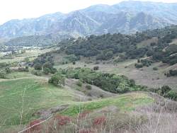 IMG_4987.jpg