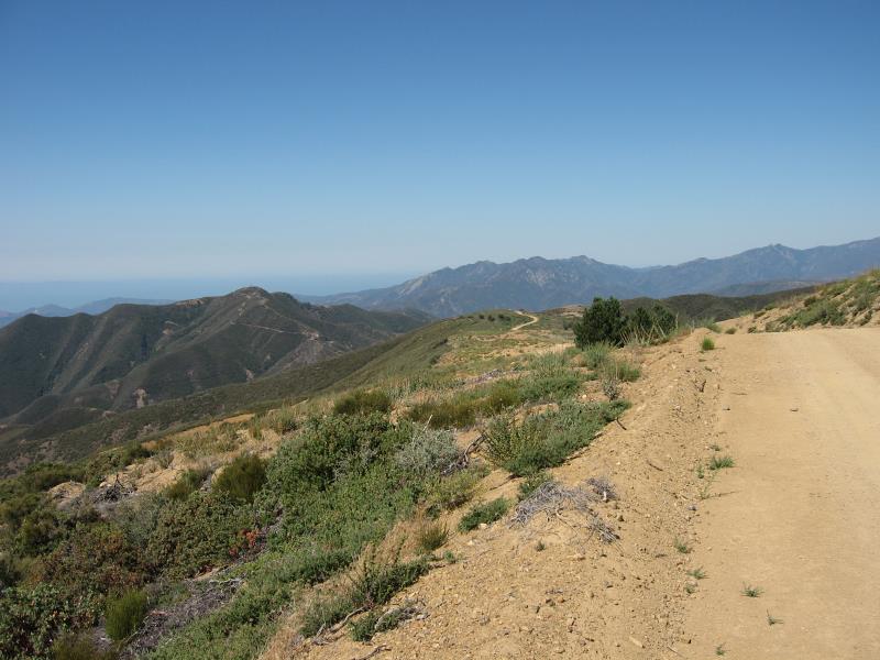 STB_0508.jpg