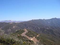 IMGP2904.jpg