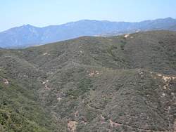 IMG_0514.jpg