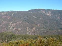 IMG_0520.jpg