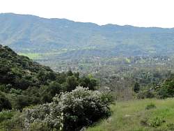 IMG_7818.jpg