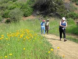 IMG_7828.jpg