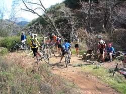 IMG_7881.jpg