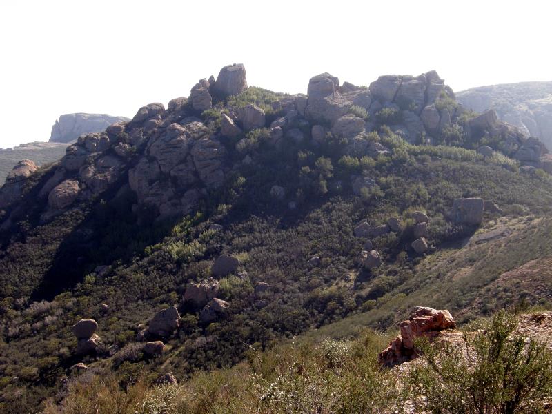 P2170193.jpg