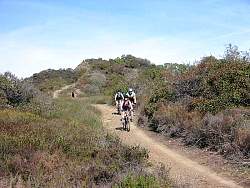 RogersRdIMG_1304.jpg